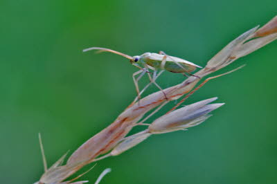 20090704__MG_0114_klein